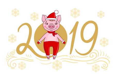 小猪戴节日帽和毛皮手套。在2019年的文字和雪花的背景下。手绘风格矢量设计图