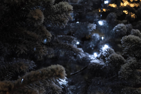 圣诞节和新年树树枝上有雪和花环。蓝光花环。霜冻的散步。圣诞节和新年的心情。假期。