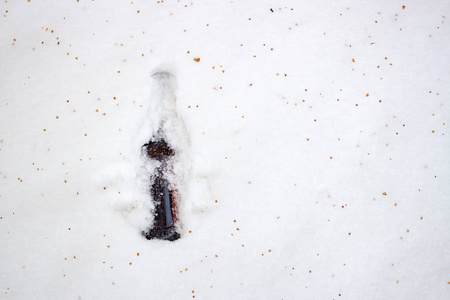 白天躺在雪地里的棕色玻璃瓶