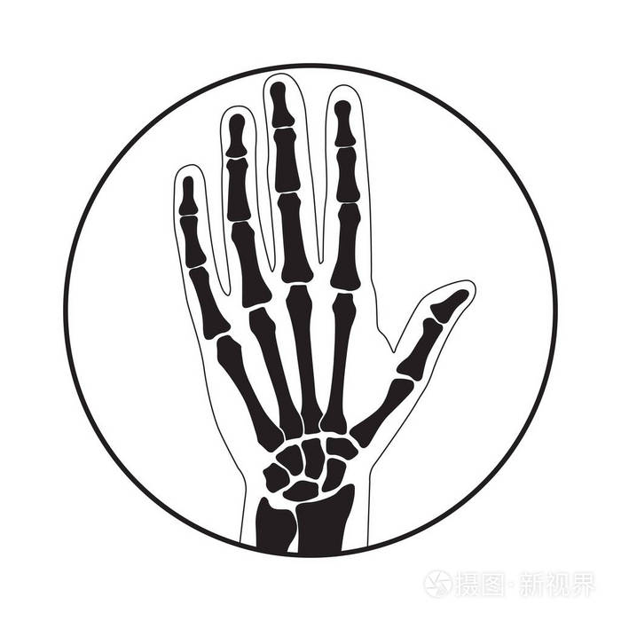 人的手骨解剖学向量例证插画-正版商用图片15z9jn-摄图新视界