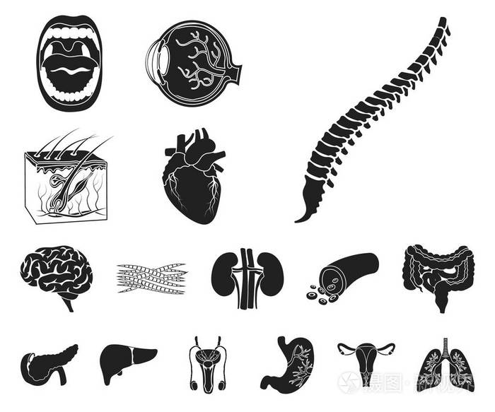 人体黑色图标的内部器官在集合中进行设计。解剖学和医学矢量符号股票 web 插图