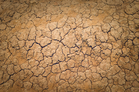 干裂纹理图片