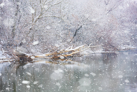 冬天美丽的场景和雪花