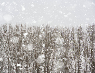 冬天美丽的场景和雪花图片