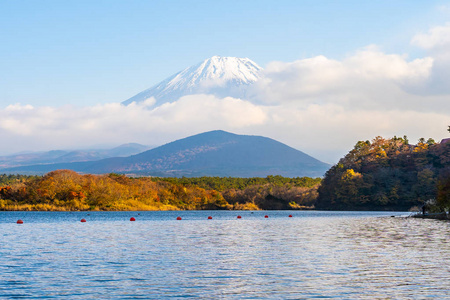 日本大林秋季湖泊四周枫叶树的富士山美景