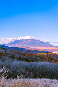 日本秋季稻子或山坂湖富士山的美丽景观