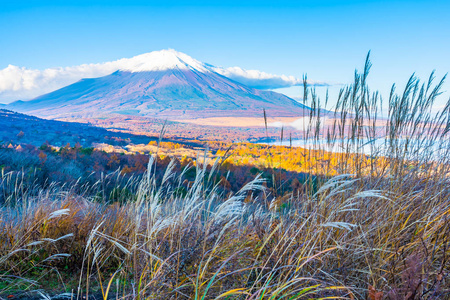 日本秋季稻子或山坂湖富士山的美丽景观