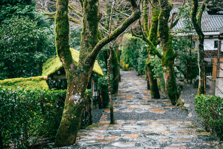 日本京都奥哈拉寺庙园景