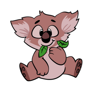 考拉吃树叶卡通照片