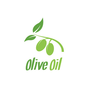 橄榄油标志设计模板矢量插图图片