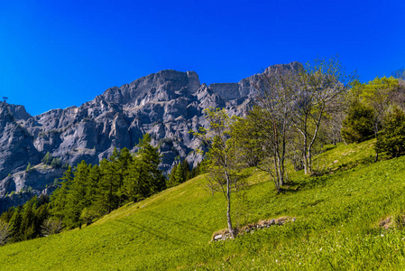 瑞士Alp山LeukerbadLeukVispWallisValais瑞士