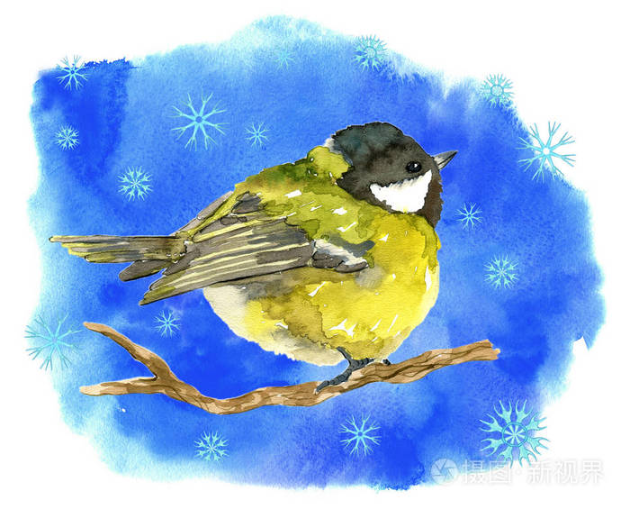 冬牌用鸟 雪花上蓝色纹理背景 用天然手绘水彩插画 剪裁而成照片 正版商用图片15zm01 摄图新视界