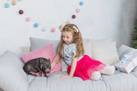 新年和圣诞节故事讲的是一个穿着节日服装和小猪的小女孩。2019年小猪象征。黑小猪作为符号为2019年在中国占星术。宠物和可爱的孩