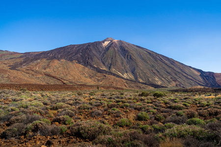 背景中的拉斯卡纳达斯火山和蒂德火山的熔岩场。 泰内利夫。 加那利群岛。 西班牙。