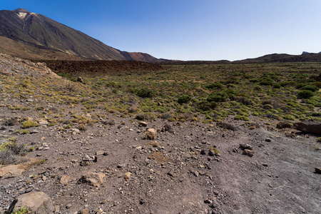 背景中的拉斯卡纳达斯火山和蒂德火山的熔岩场。 泰内利夫。 加那利群岛。 西班牙。