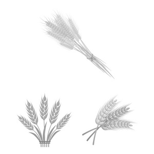 小麦和秸秆符号的向量例证。网络小麦和粮食股票符号集