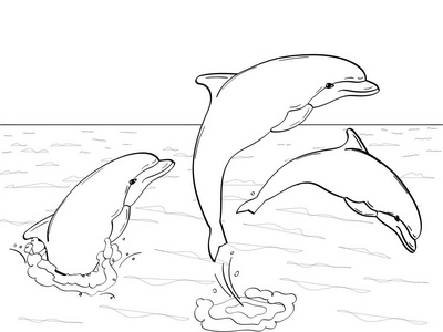 海豚的风格图片-海豚的风格素材-海豚的风格插画-摄图新视界