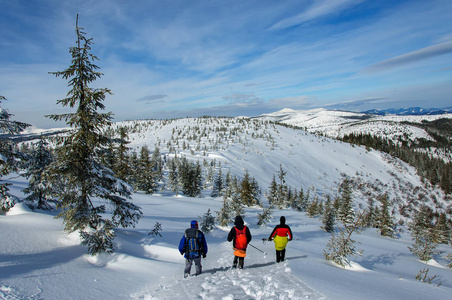 三名穿着户外服装的游客骑在美丽的雪山上的木制滑雪板上。乌克兰