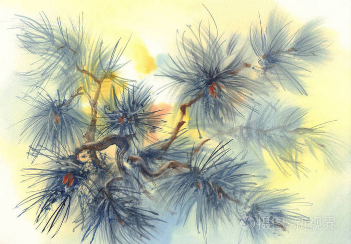 松树树枝水彩背景圣诞手绘插图