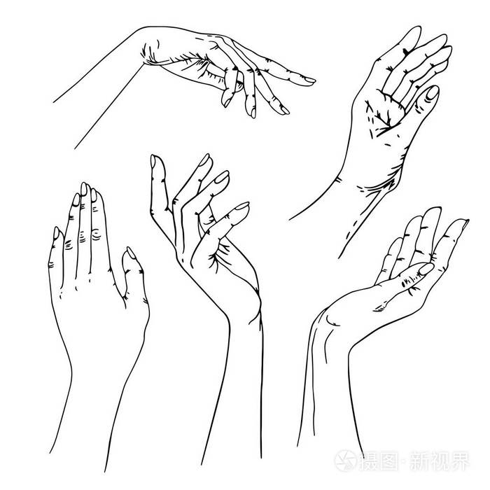 插画-正版商用图片1600th-摄图新视界