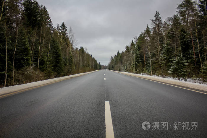 沿着常绿针叶林惊人的道路景观