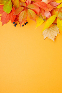 橙色背景上明亮的秋叶。 平躺顶视复印空间