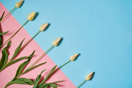 s Day, Easter, birthday. Nature background. Flat lay, top view