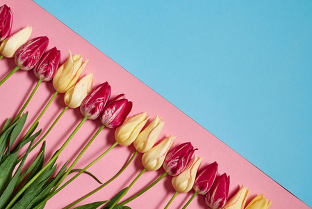 s Day, Easter, birthday. Nature background. Flat lay, top view