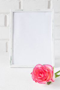 在白色背景上用粉红色玫瑰特写相框