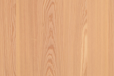 松木,木材,墙纸表面纹理,背景贴面照片