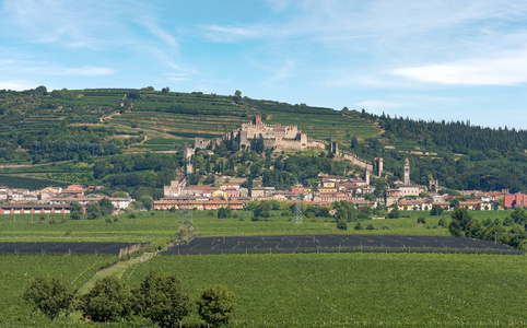 维罗纳附近的中世纪的索夫村，有城堡青山和著名的藤蔓栽培