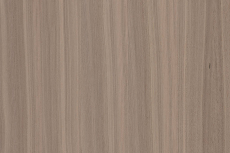 黑胡桃木圆盘图片