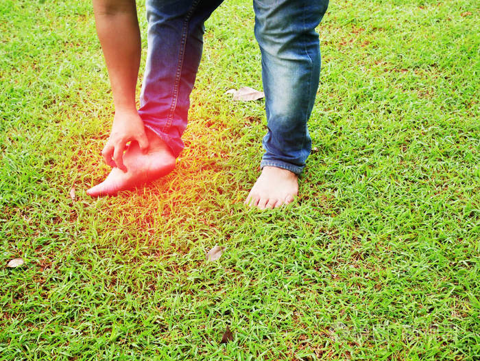 蚂蚁步行在绿草中咬