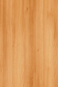 皂荚皂荚木木材树面壁纸结构纹理背景高照片