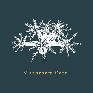 背景上的蘑菇珊瑚