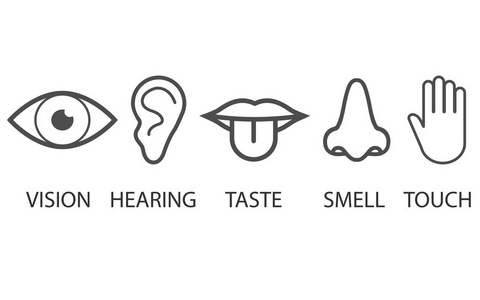 感官图标图片-感官图标素材-感官图标插画-摄图新视界