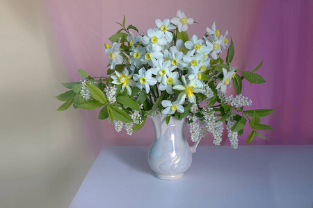 粉红色背景上的玻璃花瓶里的一束黄色水仙花.照片