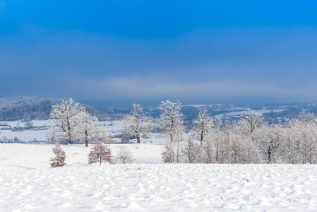 下雪天田野里的场景图片