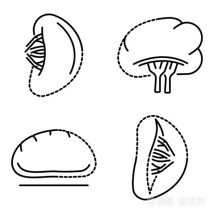 脾脏图标集, 轮廓样式插画-正版商用图片160n8g-摄图新视界