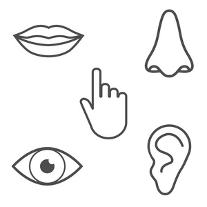人类的感官图片-人类的感官素材-人类的感官插画-摄图新视界