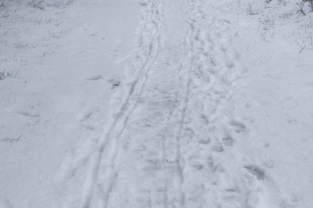 雪橇上的脚印和雨雪痕迹