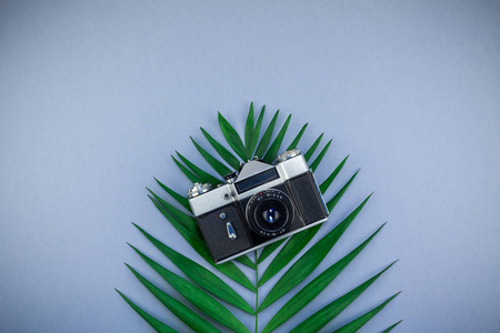 创意平躺顶部的绿色热带棕榈叶和旧照片相机在蓝色灰纸背景与复制空间。 热带棕榈叶植物夏季旅行概念模板