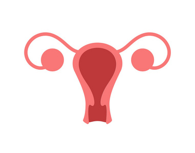 怀孕测试矢量图白色背景上的彩色子宫图标. metra矢量图照片