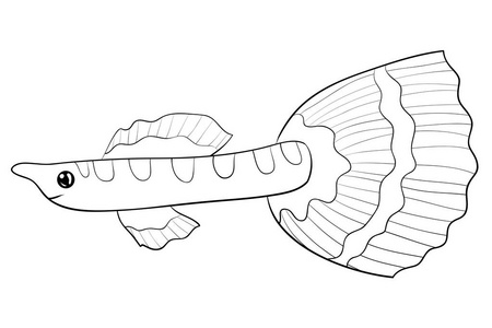 一种可爱的鱼，带有装饰图像，用于放松活动。成人着色书页。六种艺术风格插图。海报设计。