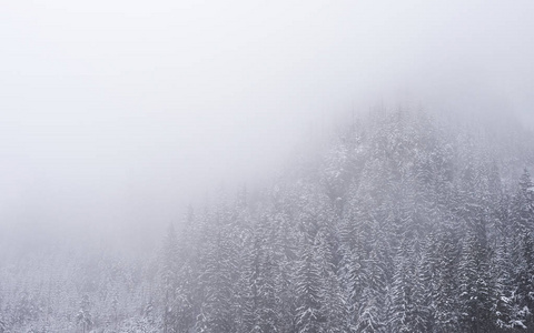 深冬山林中的雪山