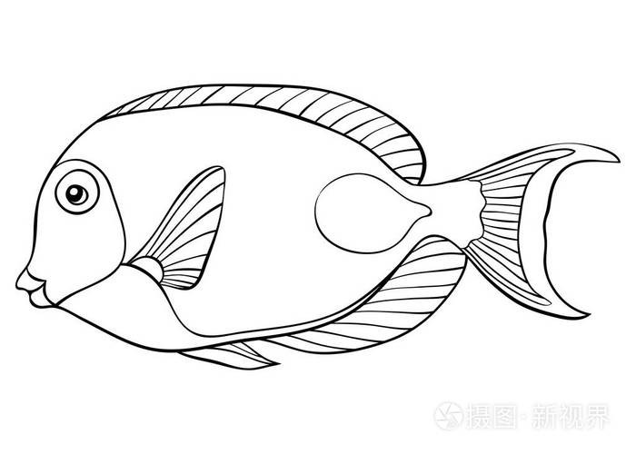 一种可爱的鱼类形象用于放松活动成人和儿童的着色书页印刷的线条艺术