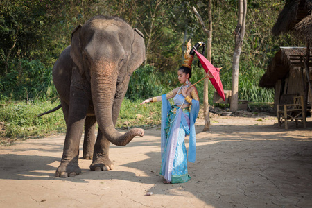 泰国传统服装的泰国女人和大象