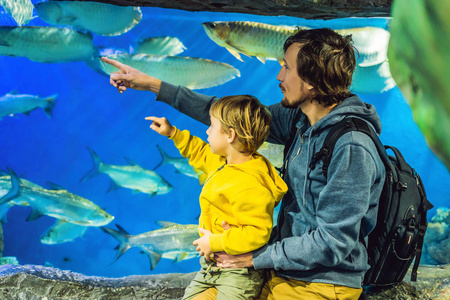 父亲和儿子参观水族馆，在水族馆里看鱼。