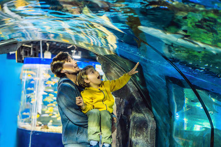 父亲和儿子在水族馆里看各种各样的鱼。