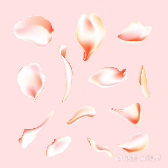 模糊的春花花瓣设置与装饰元素, 石门.